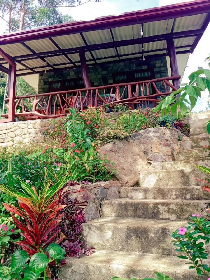 Ella Cottage 219 V المظهر الخارجي الصورة