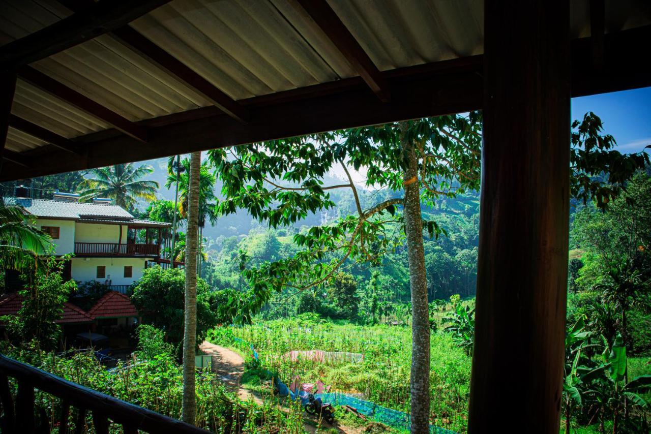 Ella Cottage 219 V المظهر الخارجي الصورة